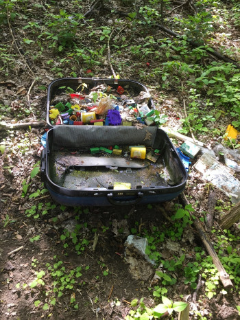 260426_8483i6_KofferSindNochDa_RTr_Queckenbergwaeldchen.jpg