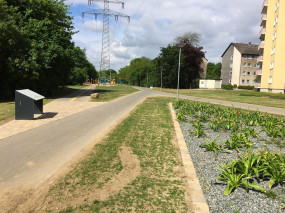 260504_8560i6_Bienenfreundlich_Hochspannungpark.jpg