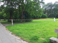 260613_9141i6_Eichen-Prozessionsspinner_Hochspannungspark_RTr_Thiede.jpg