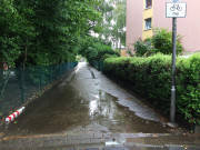 250727_5059i6_PfuetzeBeiVerbindungsweg_LS-LiStr_LS059.jpg