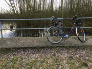 260228_7723i6_FahrradAmTeichBeiLamme_RtR_LammeEtc.jpg