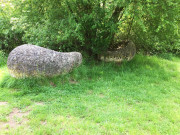260510_8607i6_HinkelSteine_AufDemBerg_RtR_Gedenkstein.jpg