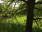 260523_8770i6_Paddeltourziel_LanglingenCamp.jpg