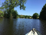 260526_8812i6_ImmerHinterDemSchwanHer_ImAllerAltarm_LanglingenCamp.jpg
