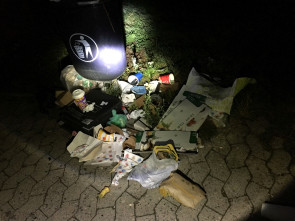 Irgendwie sind mir die Menschen-Schweine unsympathischer als die in der Natur vorhin ... 260817_9930i6_Muell_RTr_Denstorf.jpg