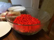 Wollte 1 kg sammeln. In den Plastikeimer hinen! 260926_0495i6_Die_Ernte_Vogelbeermarmeladenvorbereitungs-Broitzem-RTr.webp
