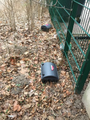 Da stehen sie am Zaun ... 260125_7322i6_Rattenkoederfallen_Hochspannungspark_OGS-Altm.jpg