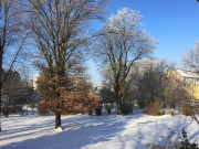 260111_7230i6_Himmel_UnserWintergarten_LS58.jpg